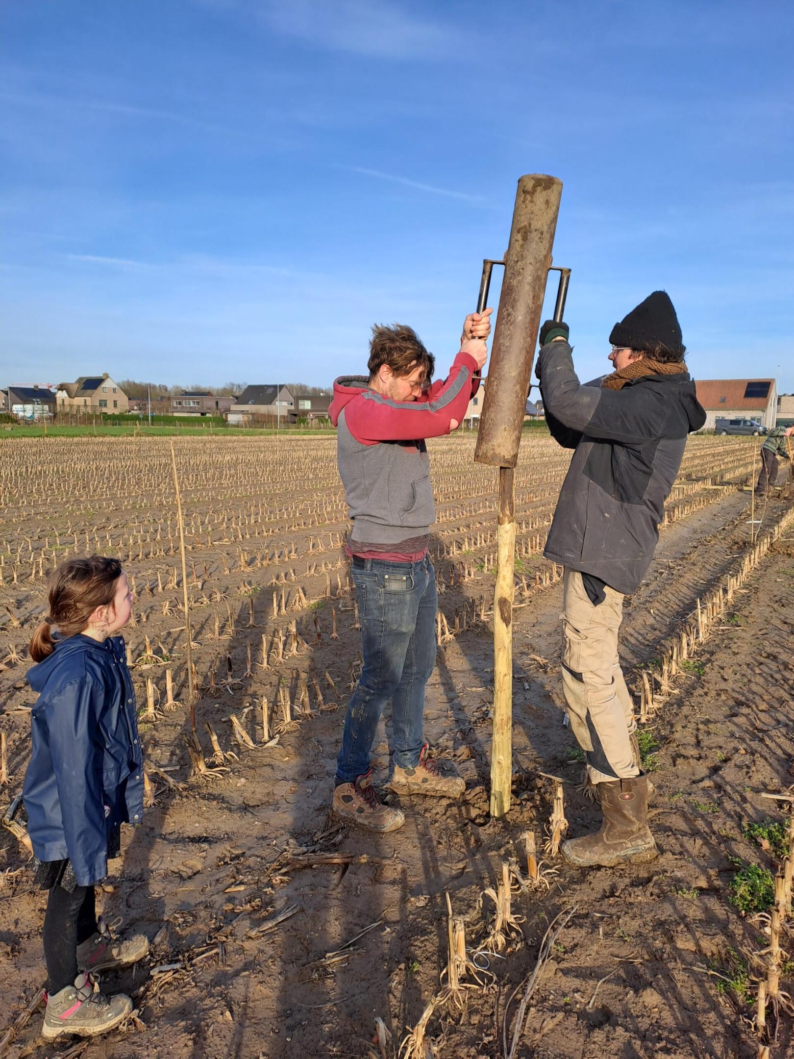 Voedselbos woudezel agroforestry permacultuur