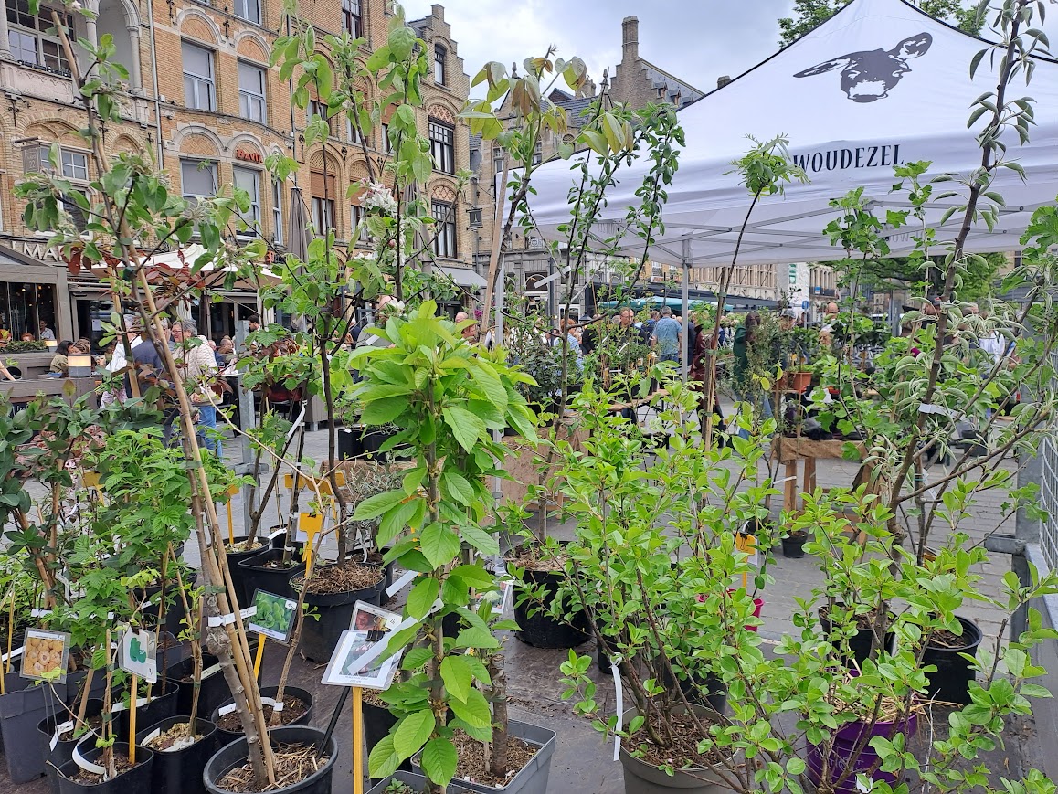 bloemenmarkt ieper voedselbos de woudezel