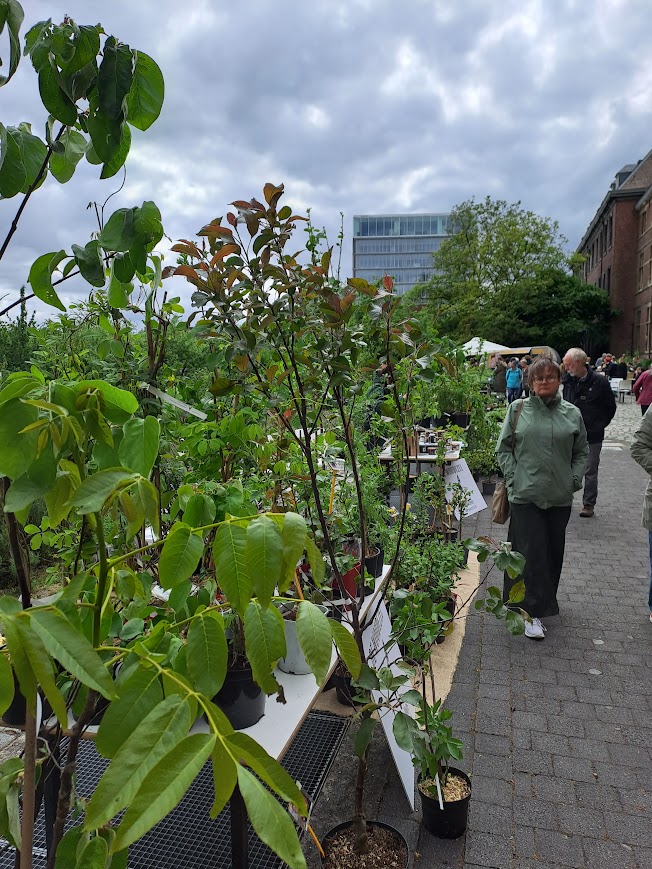 ecomarkt gent sint-pietersabdij voedselbos de woudezel