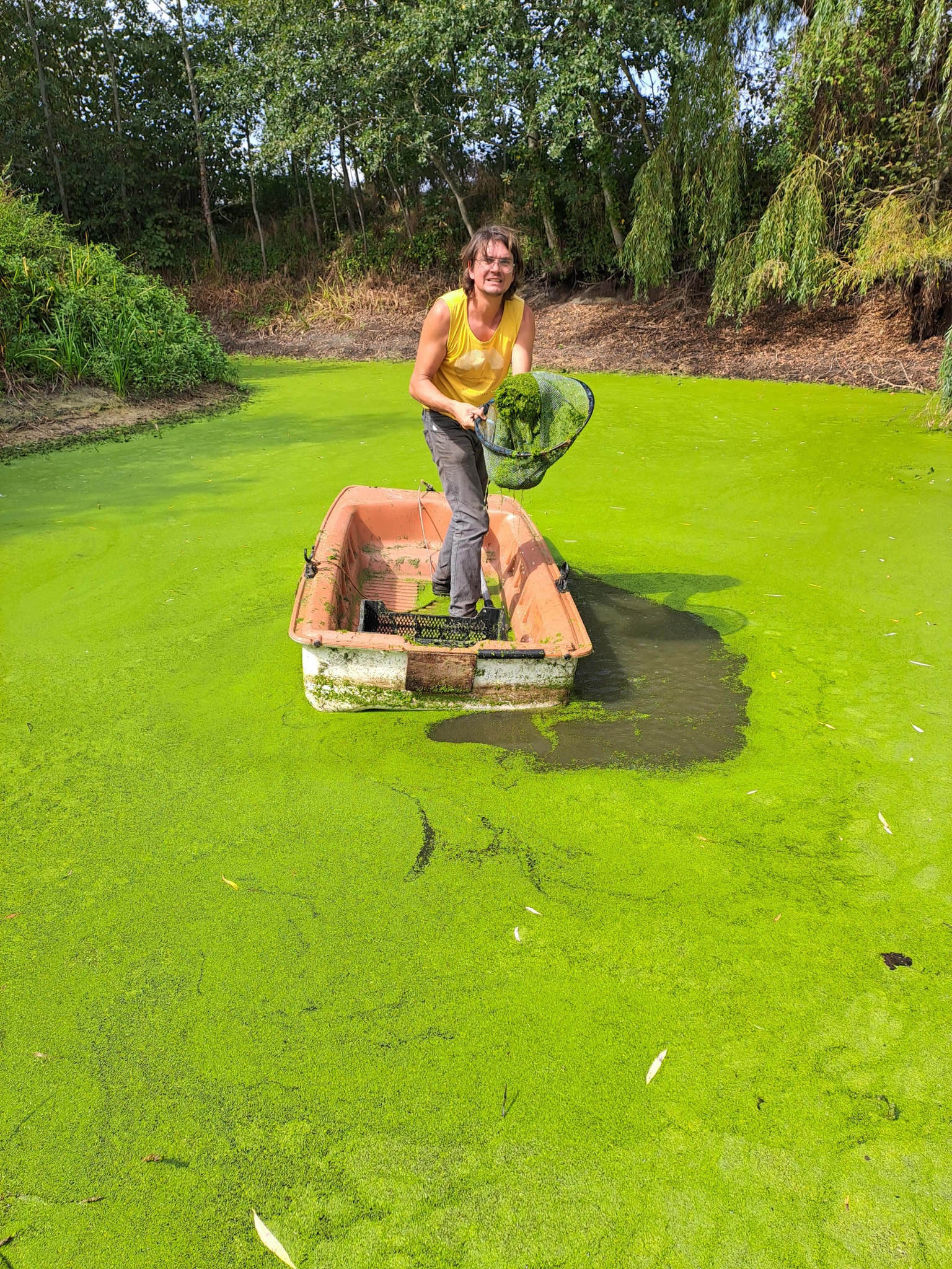 eetbare waterplanten voedselbos permacultuur woudezel