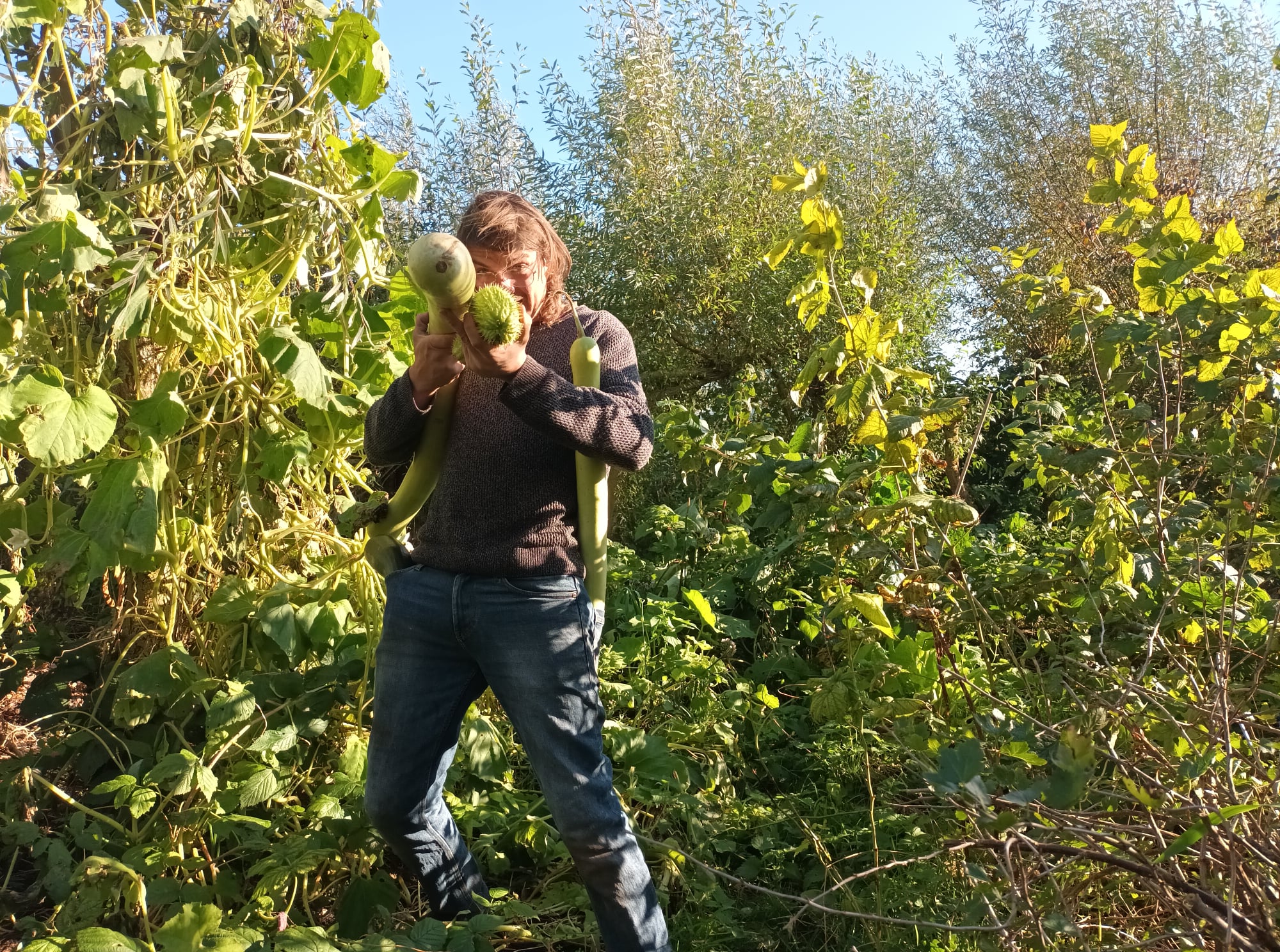 Rondleiding voedselbos de woudezel permacultuur