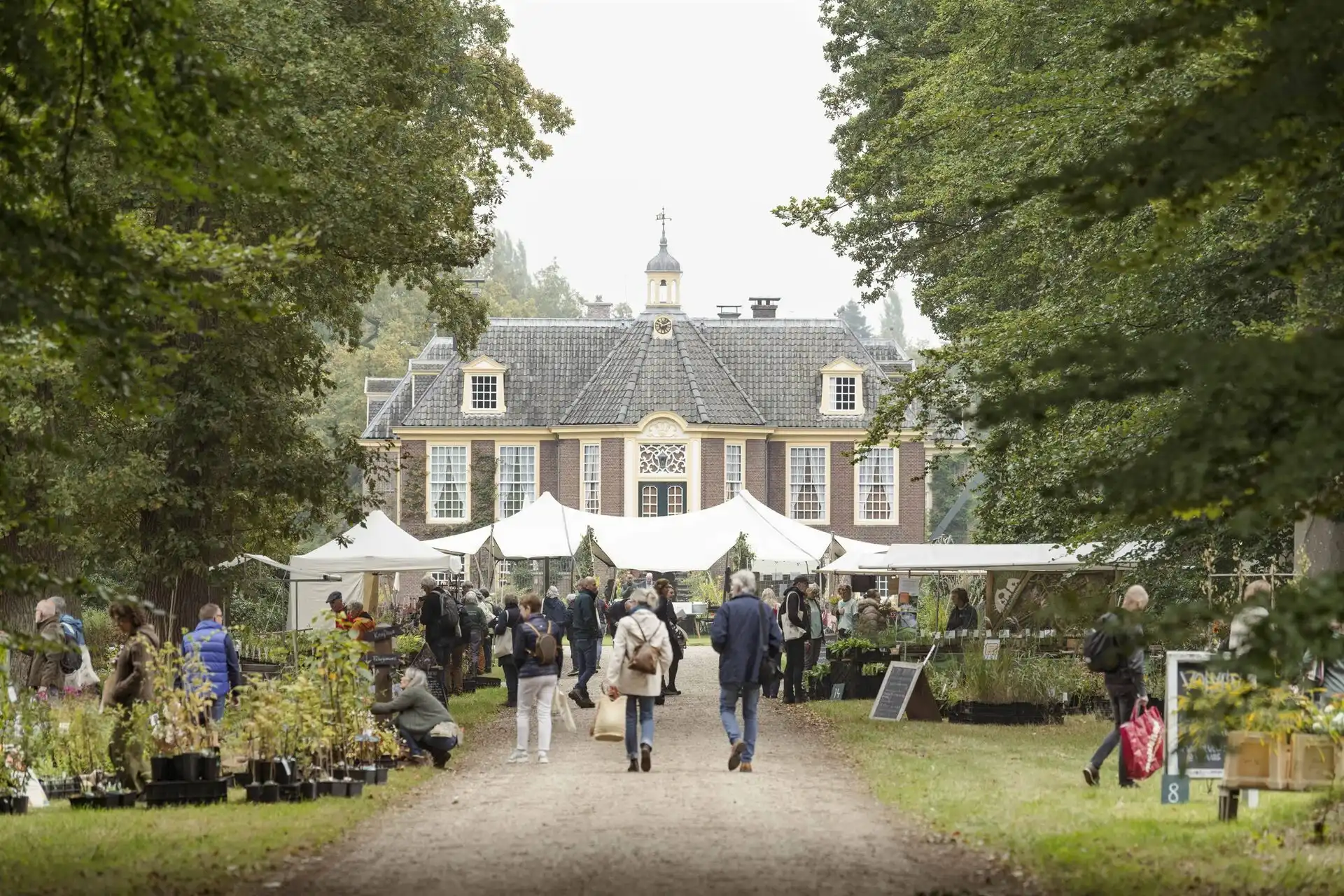 de Woudezel plantendag de Wiersse